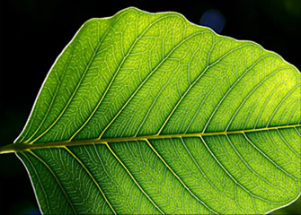 轰炸手机号在线使用